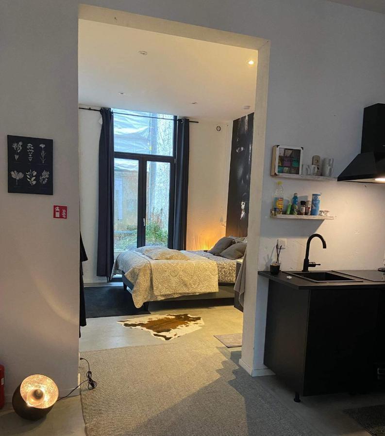 Apartment Garden In Center Antwerpen